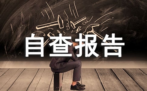 教材教輔讀物自查報告