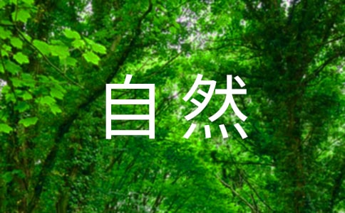 【推薦】大自然的聲音評課稿