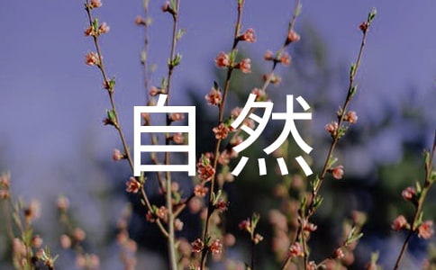 大自然的聲音評課稿(必備)