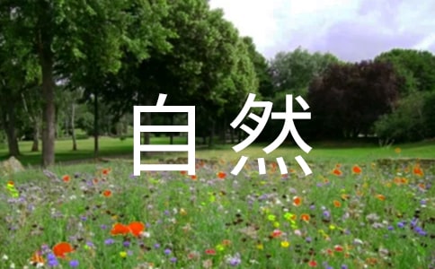 大自然的聲音評課稿必備【15篇】