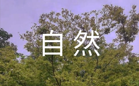����Ȼ�����̌W(xu��)�u(p��ng)�n�巶�ģ�ͨ��5ƪ��