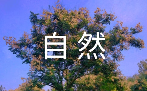 大自然的聲音評課稿范文