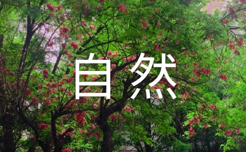 (精選)大自然的聲音評(píng)課稿15篇