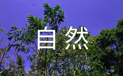���꼉(j��)����Ȼ�����u(p��ng)�n��R����10ƪ��