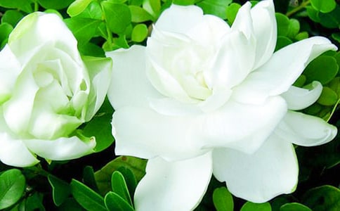 �d�ӻ��_������