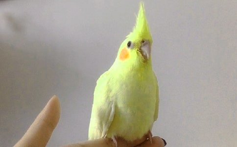 ��Ƥ�W�^���ă�(y��u)�x(15ƪ)