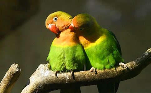 �ҵ��W�^���ġ���Ʒ��