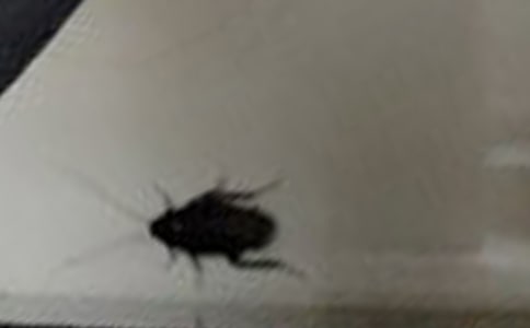 �������ķ���