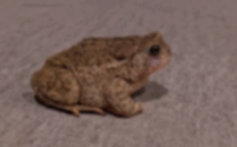 ��ܵ��Bֳ����