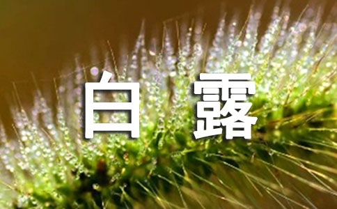 ��¶���ĵ��w��(hu��)�͸��댍(sh��)��