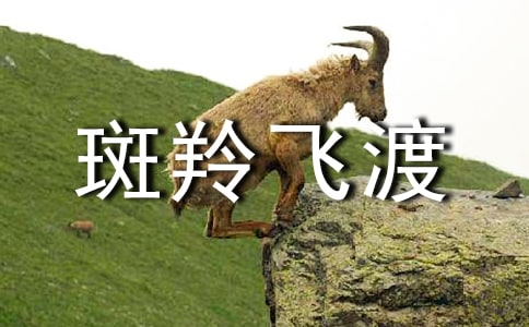 斑羚飛渡讀書筆記