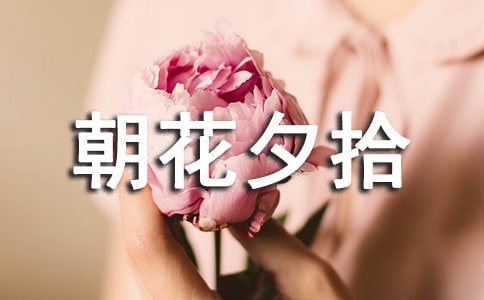 ����Ϧʰ�x���Pӛ��ͨ��38ƪ��