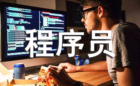 程序員試用期工作總結【熱】