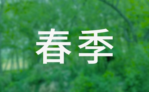 大班春季交通安全教案(精選13篇)