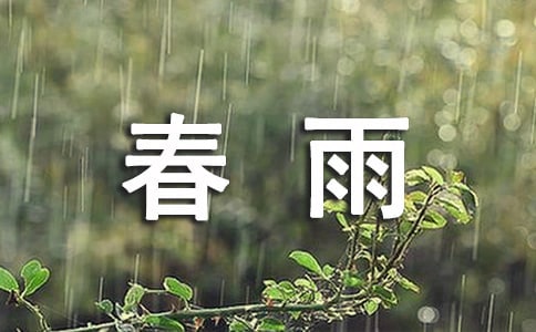 中班藝術(shù)教案春雨沙沙(精選13篇)