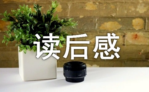 (集合)《文化苦旅》讀后感