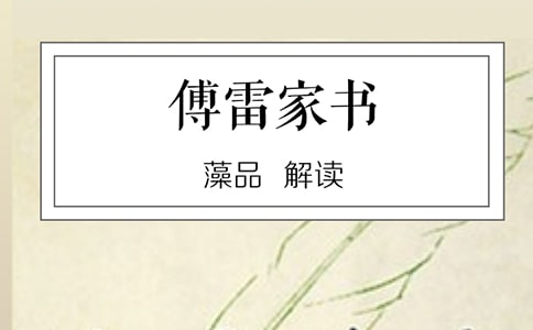 (經典)傅雷家書讀后感14篇