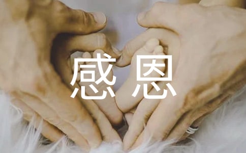 �ж������x���15ƪ