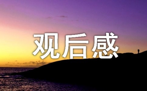西游記第一集觀后感