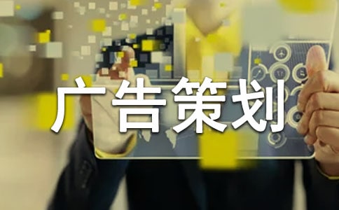 網絡廣告策劃方案