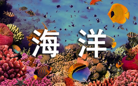 ��Խ�Ļ���һ�N���r(n��ng)���뺣����Ļ�����x��