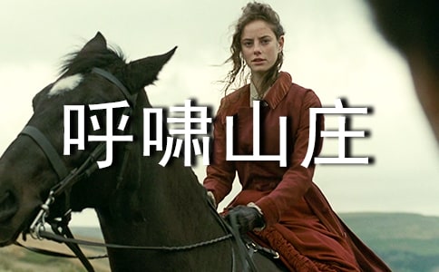 呼嘯山莊讀后感(匯編15篇)
