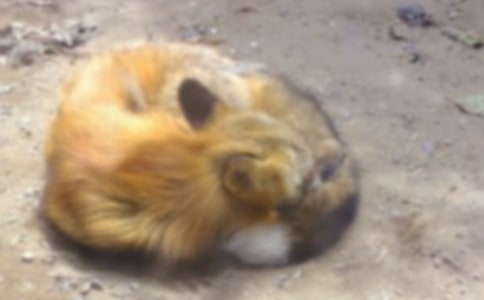�������˲���ĺ�؂�ְ��x���