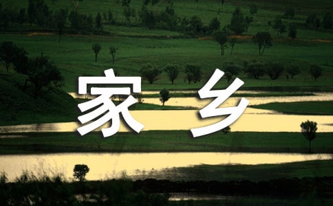 ���l����������