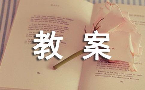 關于冬至活動的教案(通用16篇)