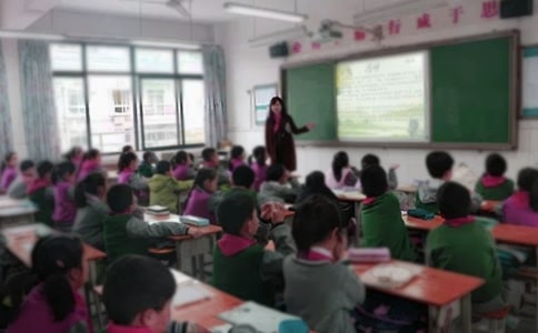 教學工作計劃模板精華(15篇)
