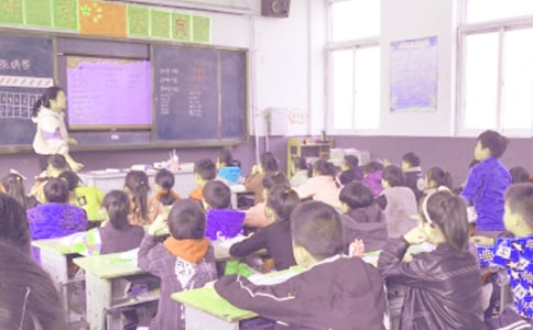 五年級下冊信息技術教學工作總結