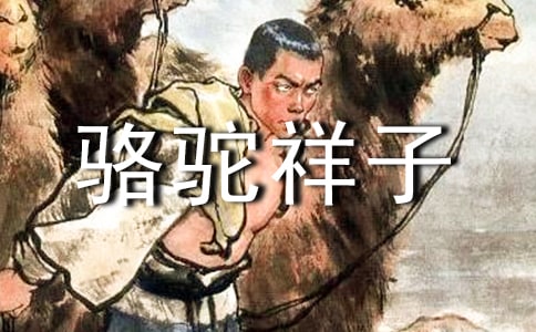 (精選)駱駝祥子讀書筆記