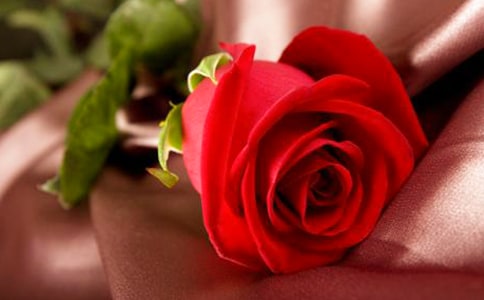 ���tõ���c��õ�塷�x���