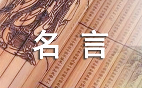 �P��Ͷ�Y������