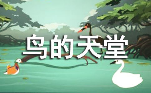 ���B�����á��̌W(xu��)�O(sh��)Ӌ(j��)(15ƪ)