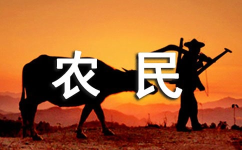 農民工返鄉務工創業宣傳標語