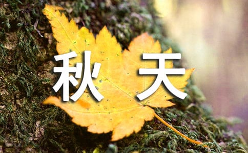 色彩斑斕秋天的簡(jiǎn)短文案(精選195句)