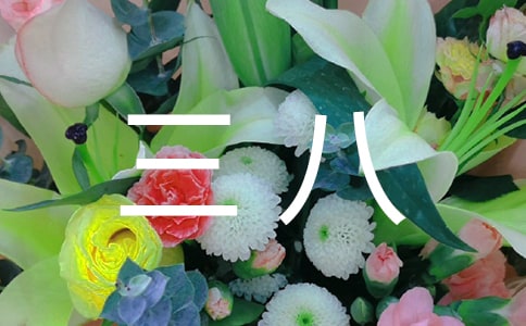 三八紅旗手優秀個人事跡