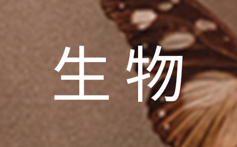 高二生物教學(xué)總結(jié)集合五篇