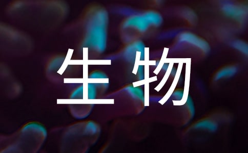 生物制劑醫藥公司員工勞動合同
