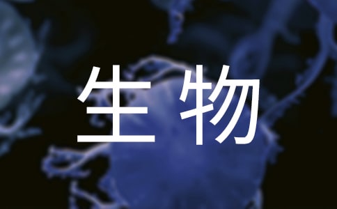 生物實驗心得體會范文必備(7篇)
