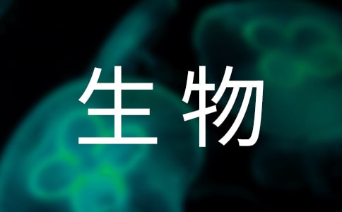 高二生物教學工作總結集合五篇