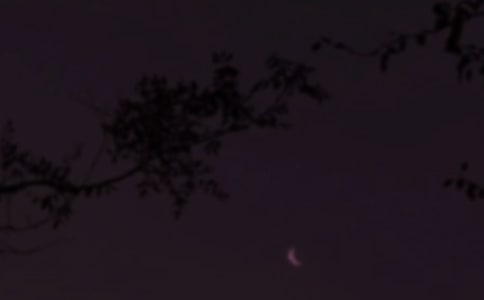 ���T�����İ������x40�䣩