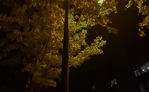 關于勵志晚安祝福語大全(精選65句)