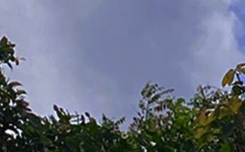 �P�ڂ����簲�İ������x40�䣩