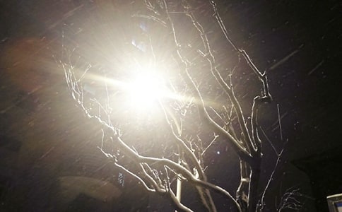 關(guān)于冬天下雪的簡短文案