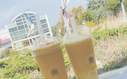 夏日絕句的教學設計