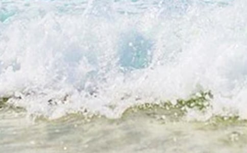�а�̰�������ķ��bͨ��