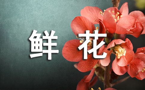 鮮花訂購合同