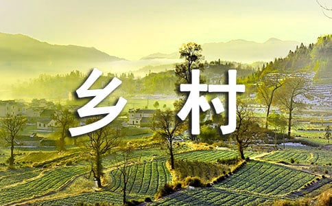 大學(xué)生鄉(xiāng)村創(chuàng)業(yè)幫扶工作總結(jié)